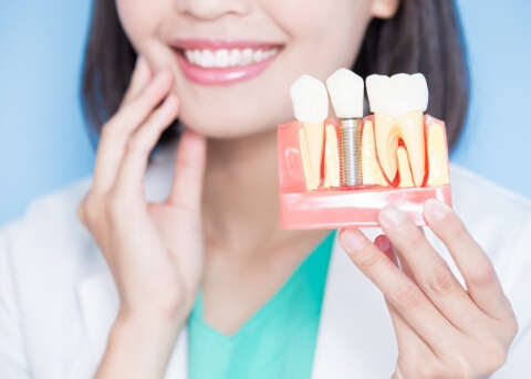 Smiling dentist holding a model of a dental implant